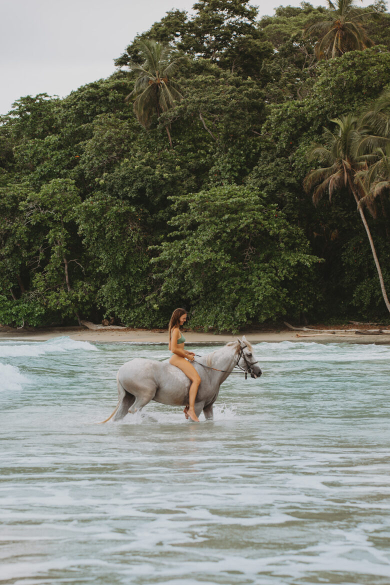 A woman in a swimsuit rides a horse through shallow water at a beach. Lush green trees and palms line the shoreline in the background. The horse is white, and waves gently lap around its legs. The scene is serene and tropical.